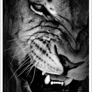 Meet your Posher, Steve